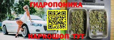 гидра Гудермес