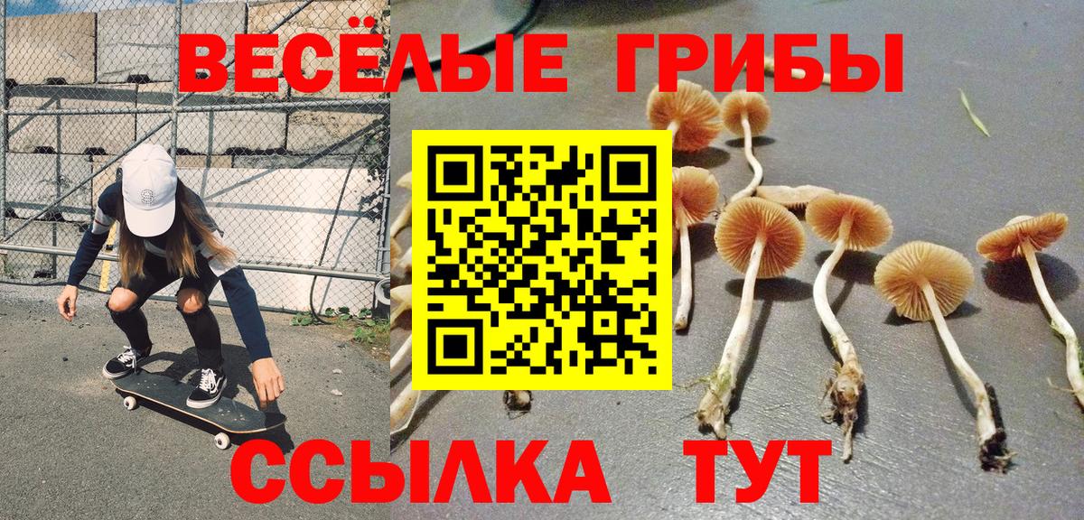 Псилоцибиновые грибы GOLDEN TEACHER  Галлюциногенные грибы MAGIC MUSHROOMS  Вход с VPN  Советский 
