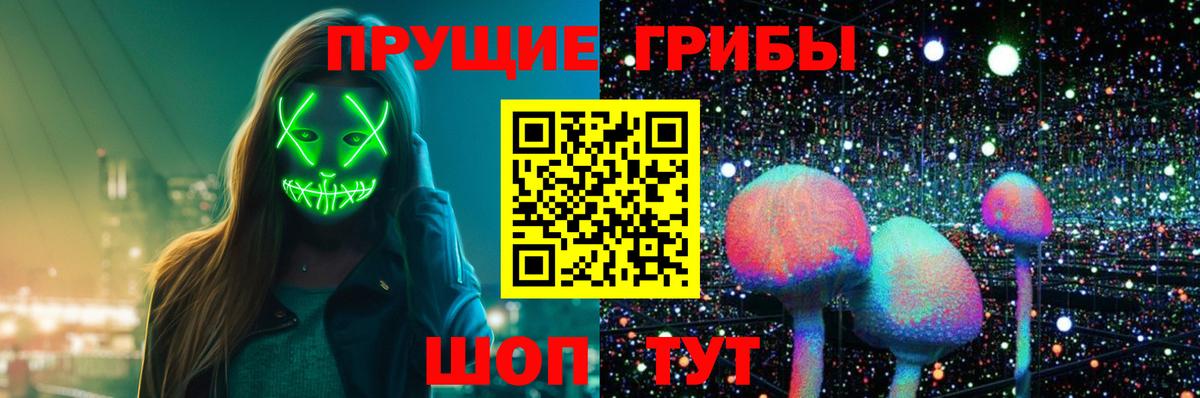Псилоцибиновые грибы MAGIC MUSHROOMS Советский